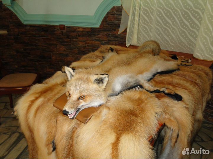 Шкура-ковер лиса рыжая
