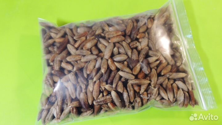 Косточки фиников