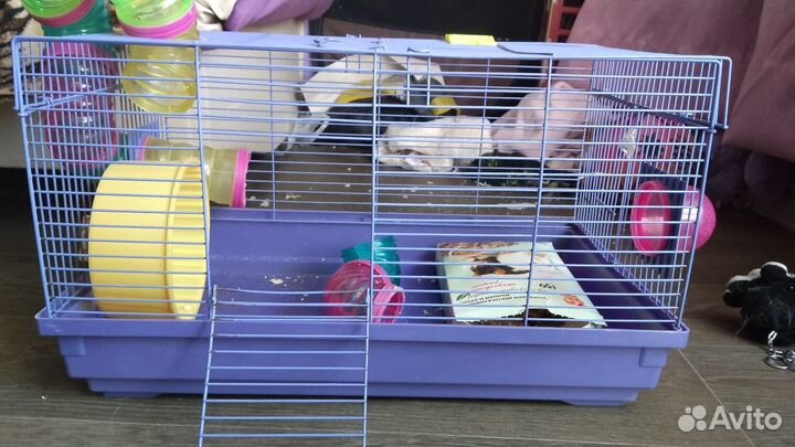 Продам клетку для хомяка