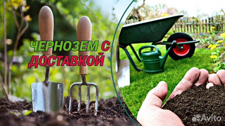 Чернозем Торф