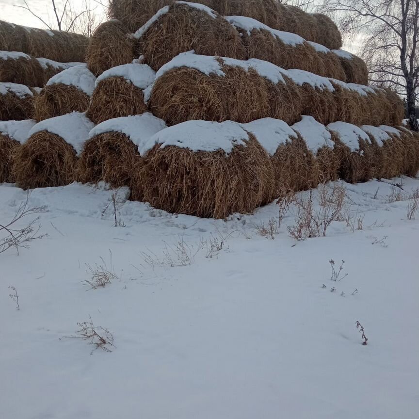 Сено в рулонах, или поменяю