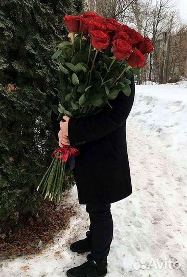 Высокие розы Гигантские Розы 150 160 170 180 190см