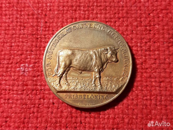 Медаль /Стокгольм домхоз. общество 1847 г