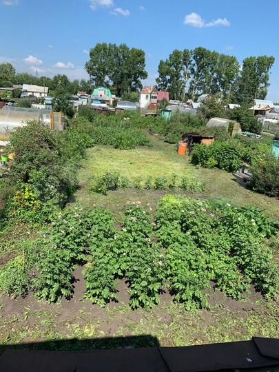 Участок 6 сот. (СНТ, ДНП)