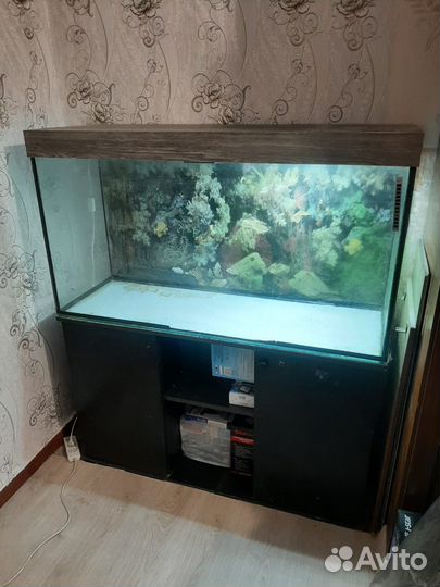 Аквариум