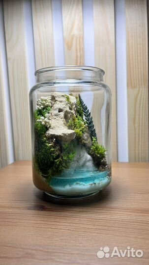 Цветы, подарки, Моссариум