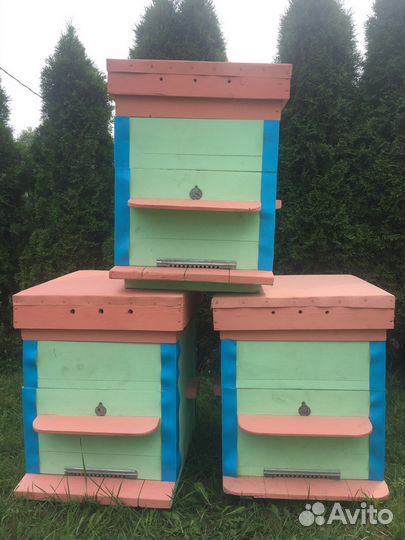 Ульи для пчел