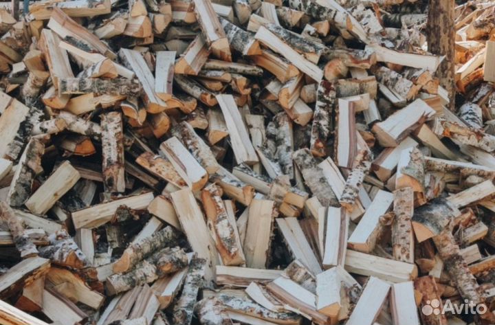 Дрова береза