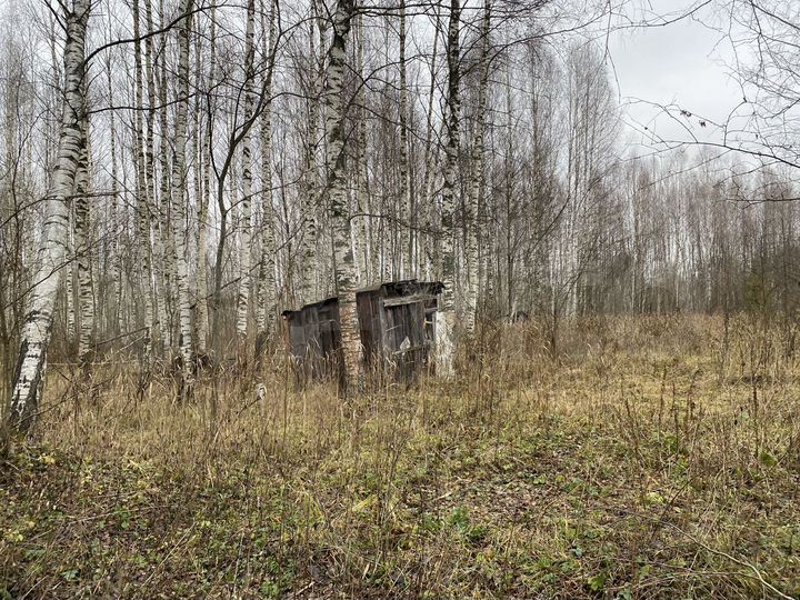 Участок 8,6 сот. (СНТ, ДНП)