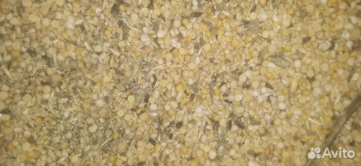 Нут белый половинки