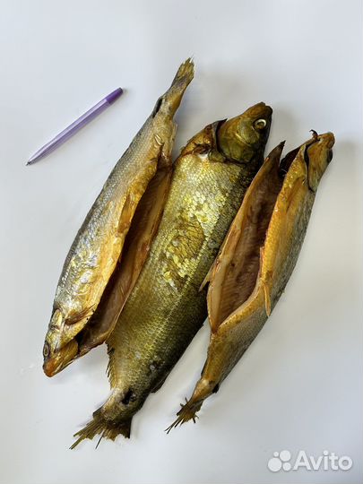 Сиг холодного копчения