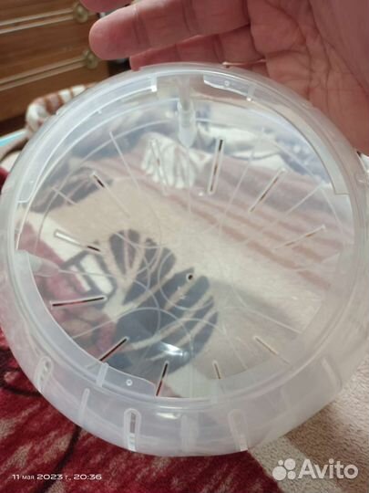 Шар для грызунов 18 см