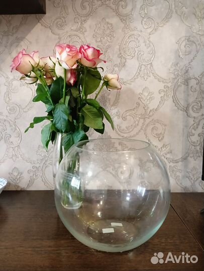 Аквариум для петушка