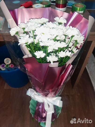 Хризантема