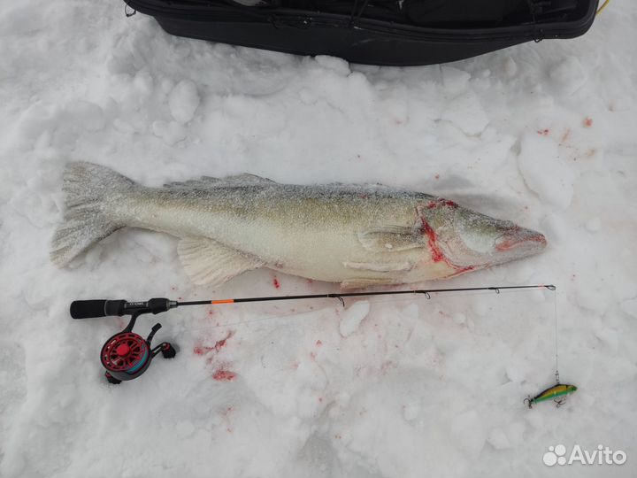 Зимняя удочка