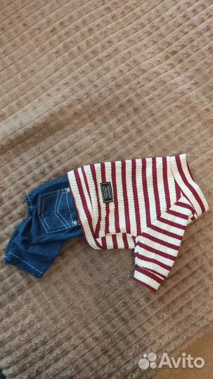 Костюм для собак