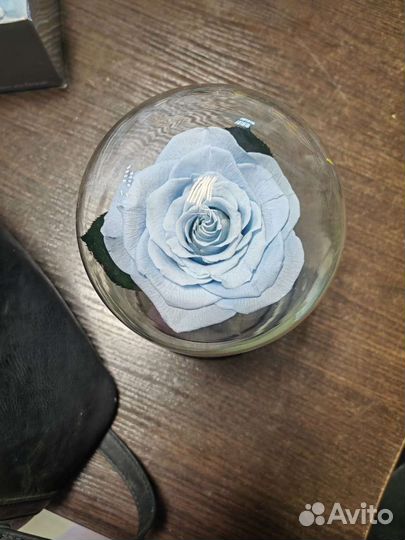 Голубая роза в колбе, арт 24