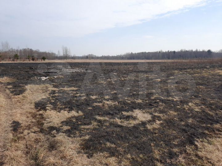 Участок 2 га (СНТ, ДНП)