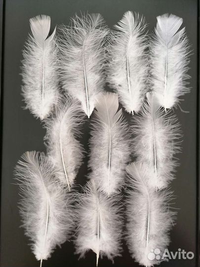 Перья натуральные набор для поделок и украшений