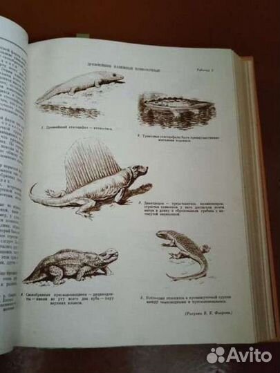 Детская энциклопедия