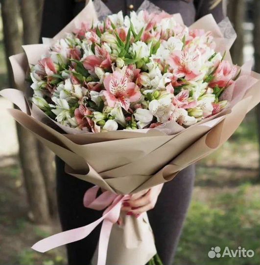 Альстромерия с доставкой