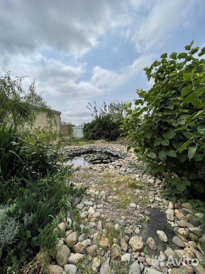 Продам готовый бизнес и усадьбу