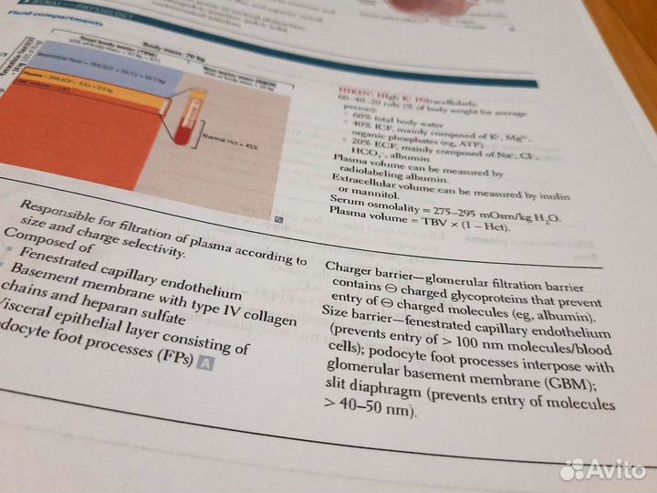 First Aid for the usmle Step1 2024 год
