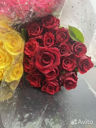 Букет роз с доставкой