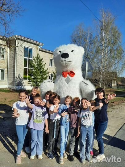 Белый мишка поздравление