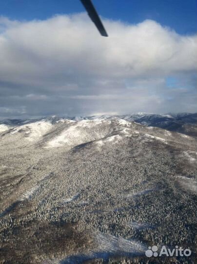 Директор, зам. директора, руководитель проекта