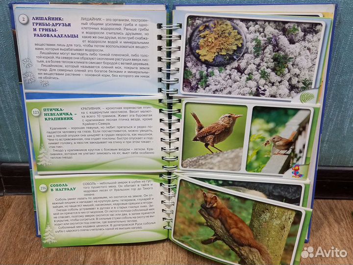 Детские энциклопедии