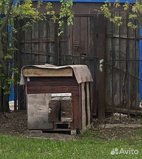 Самодельная собачья будка