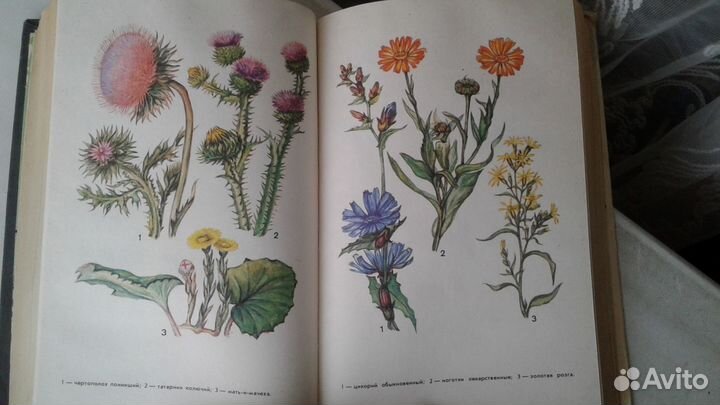 В.П.Махлаюк Лекарственные растения в народной меди