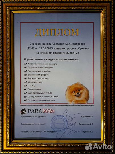 Стрижка кошек и собак