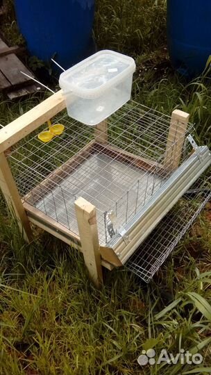Клетки для кур, цыплят, перепелов