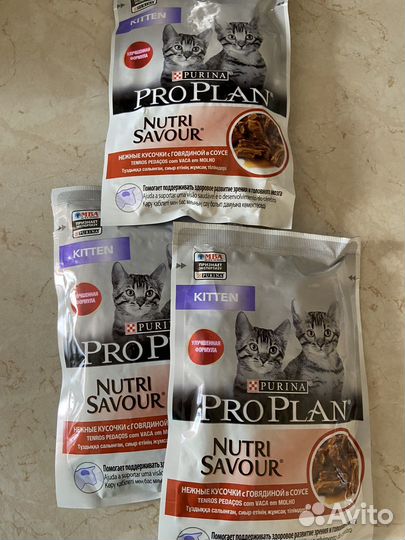 Влажный корм для котят pro plan
