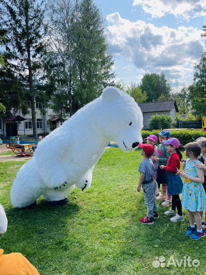 Большой Мишка 3 метра Поздравление
