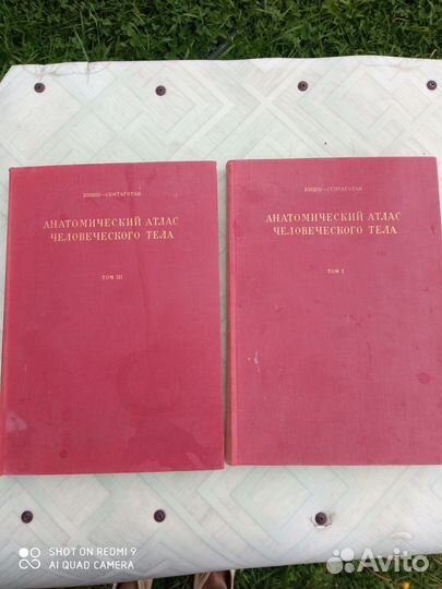 Атлас анатомии человека