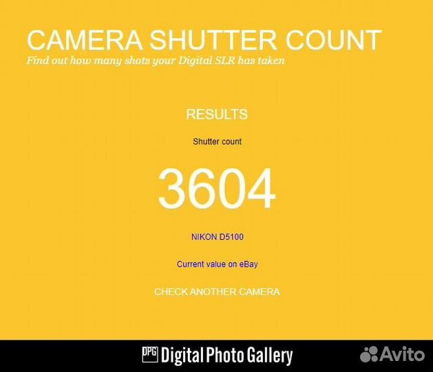 Nikon D5100 + 55-200 (3604 кадра)