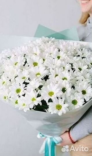 Хризантема Доставка цветов Букеты