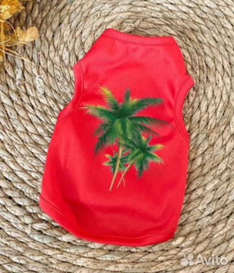 Одежда для собак