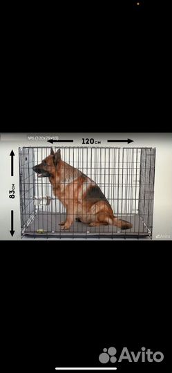 Клетка вольер для собак бу