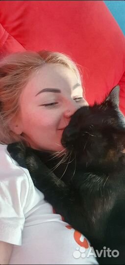 Котоняня / Зооняня / Кэтситтер