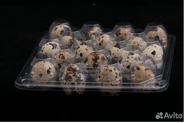 Упаковка доя перепелиных яиц (20ячеек)