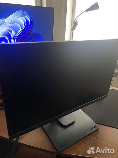 Монитор iiyama 24 дюйма IPS 75гц