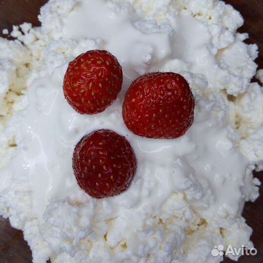 Сыр сметана творог молоко буррата