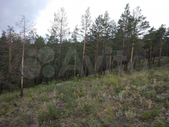 Участок 8 сот. (ИЖС)