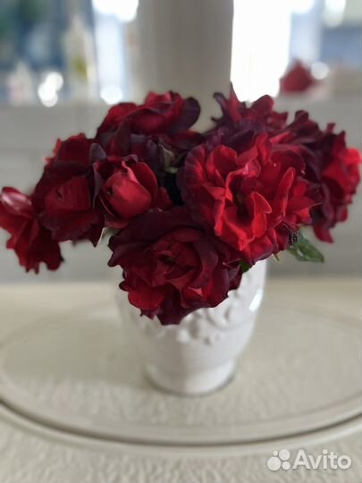 Ваза (банка) с крышкой керамическая белая