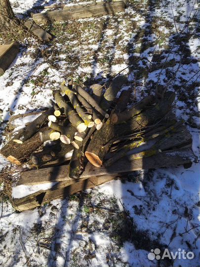 Дрова для шашлыка