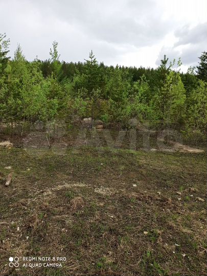 Участок 12 га (ИЖС)